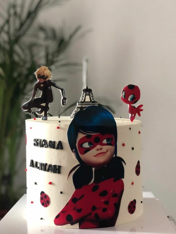 gateau anniversaire lady bug miraculous enfant, cake designer