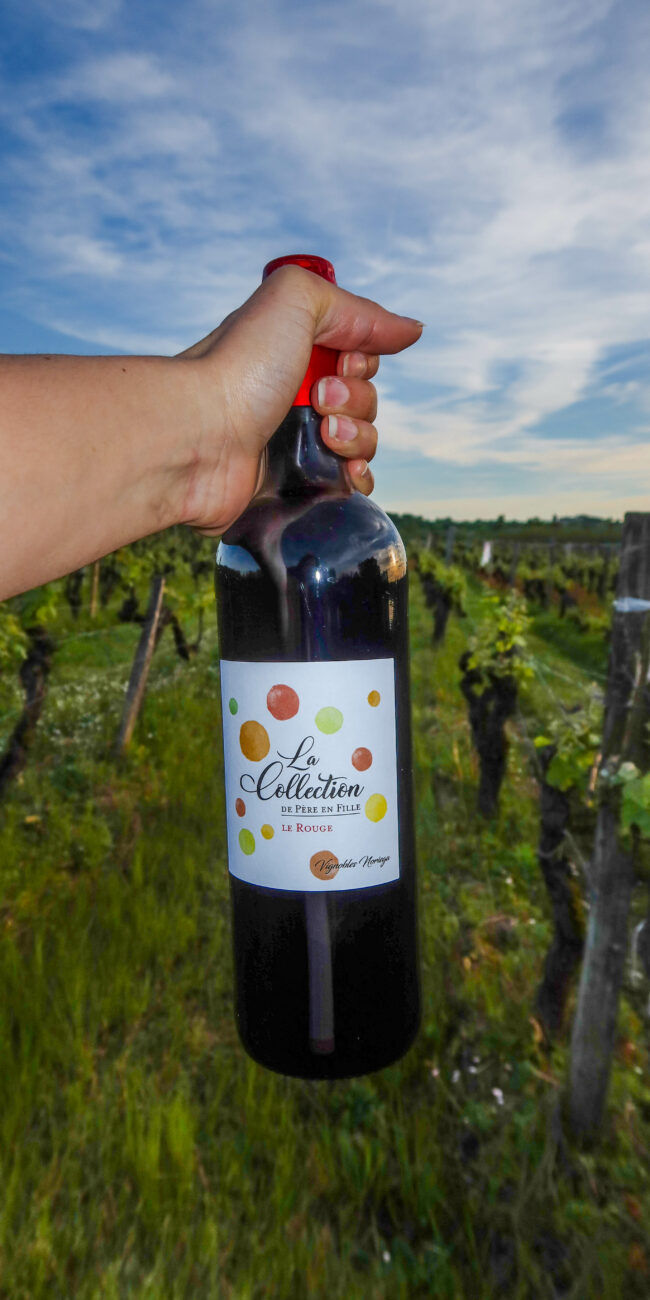 vin de maison du berneuilh, port-de-benauge, oenotourisme près de bordeaux, visite des vignobles proche de bordeaux